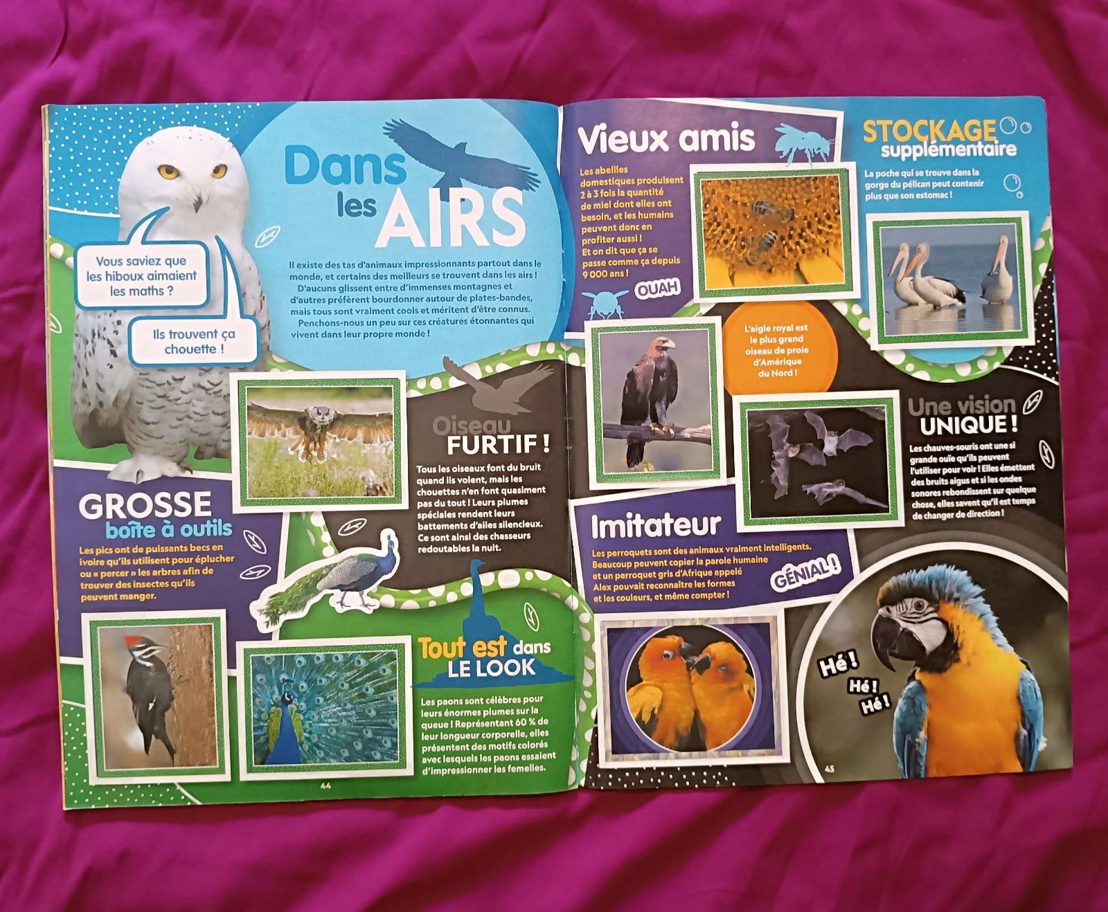 National Geographic Kids Animals Topps – photo 5